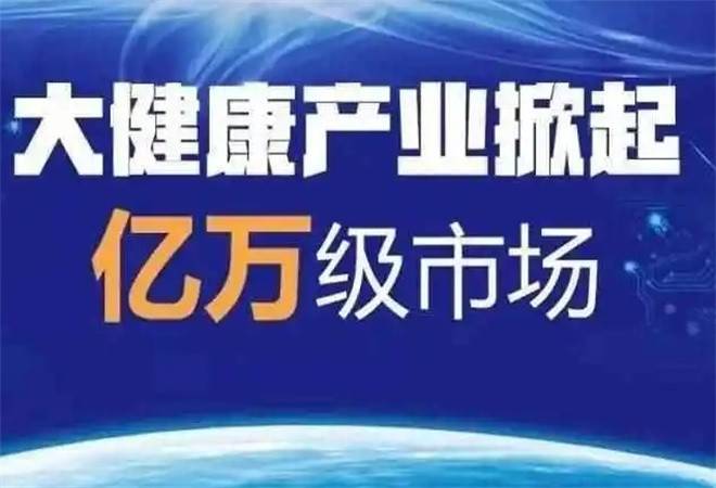 大健康项目