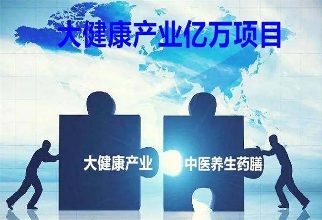大健康项目
