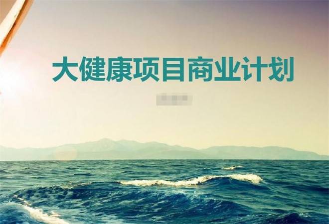 大健康项目