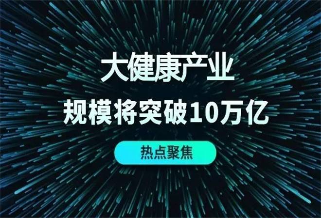 大健康项目