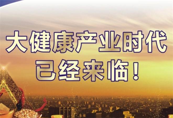 大健康项目