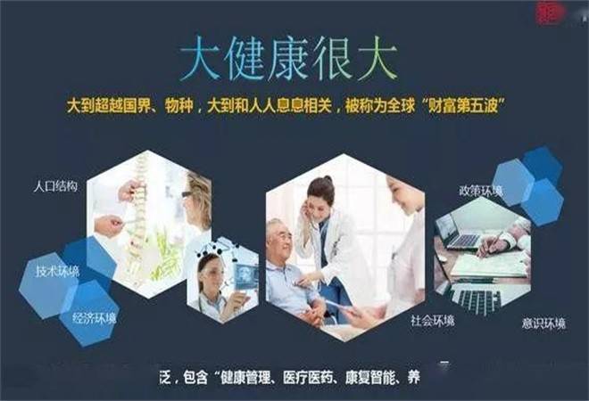 大健康项目