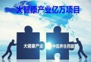 大健康项目