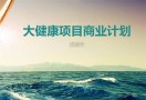 大健康项目