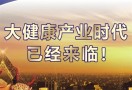 大健康项目