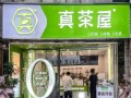 武汉真茶屋奶茶