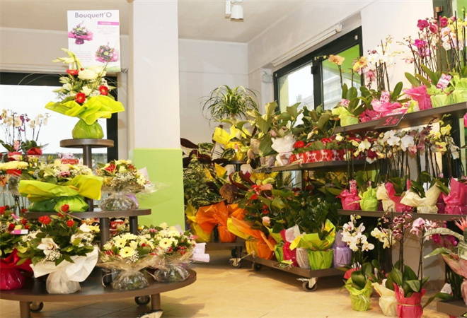 花草当家鲜花店加盟
