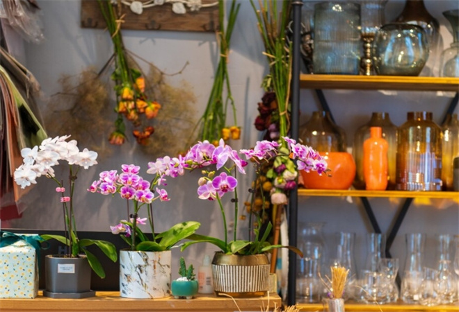 野獸人花店加盟