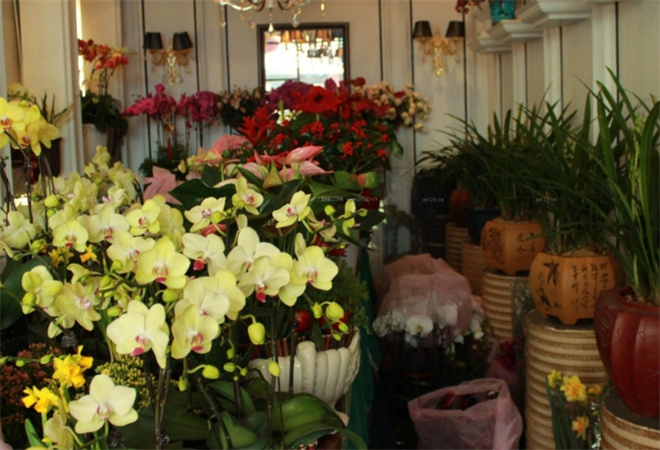 鲜花岛花店