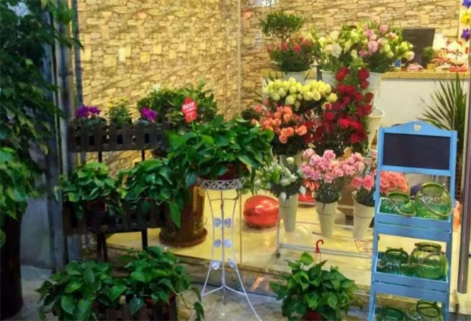 鲜花岛花店加盟