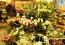 鲜花店