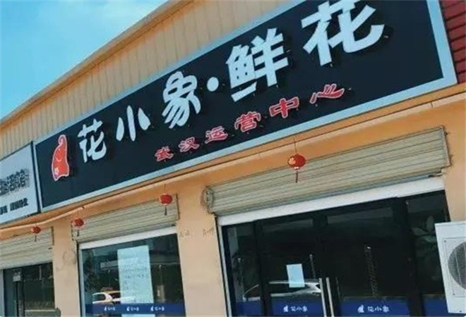 花小象鲜花