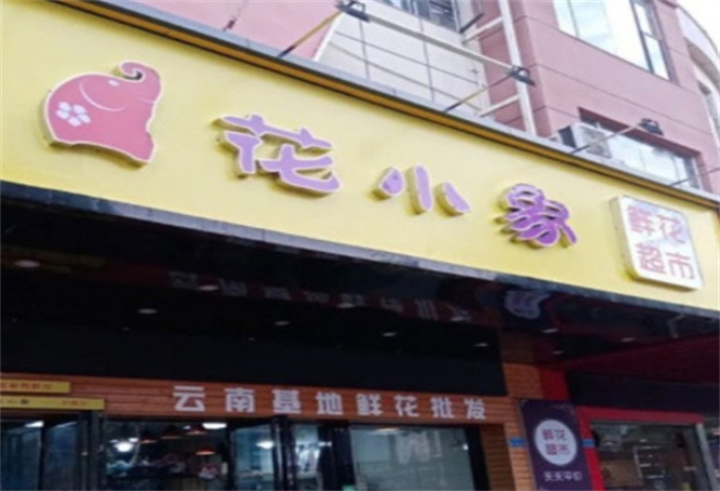 花小象鲜花
