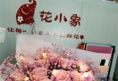 花小象鲜花