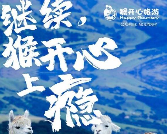 猴开心旅游社