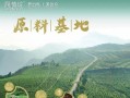 润植坊养发馆