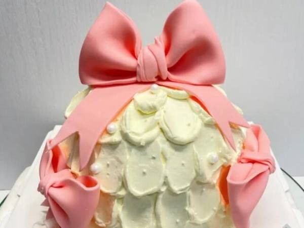 布朗司翻糖艺术蛋糕