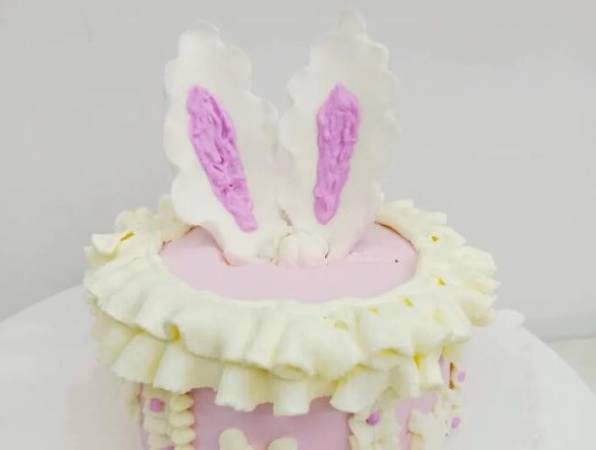 布朗司翻糖艺术蛋糕