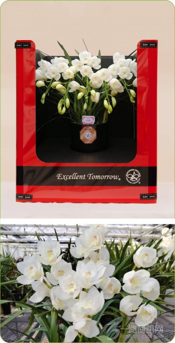 无锡华冠兰园农业科技有限公司