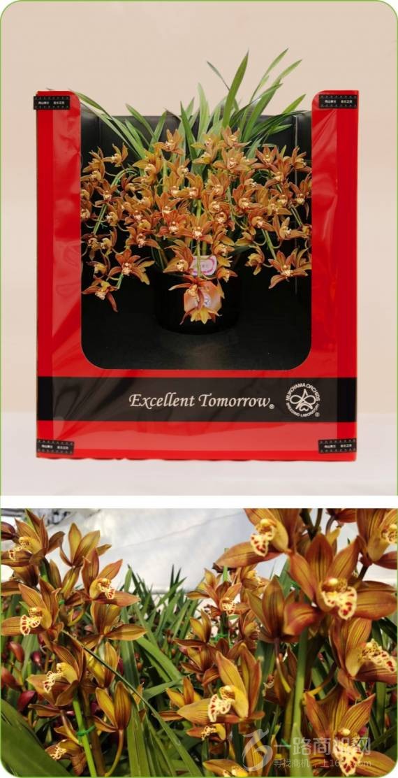 无锡华冠兰园农业科技有限公司