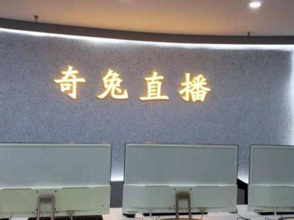 奇兔直播