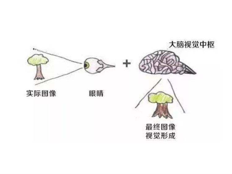 眼益视力保健加盟