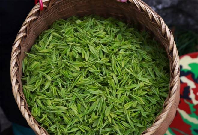 魏家茗茶叶