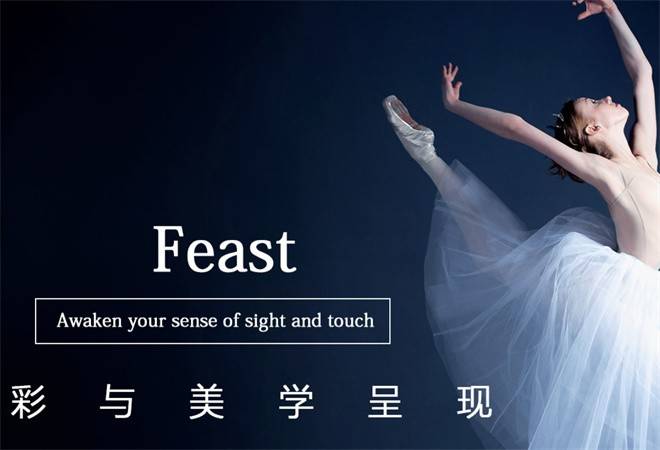 卡艺罗艺术涂料