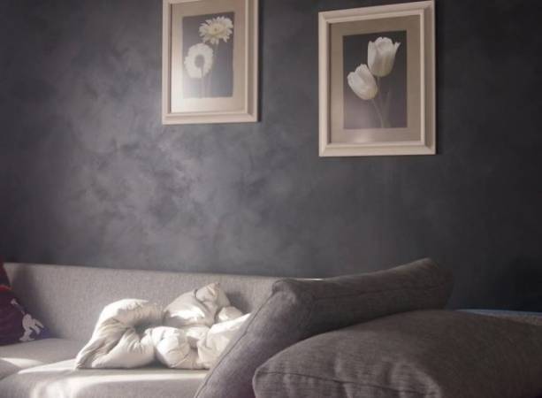 布鲁姆斯蓝鹿漆