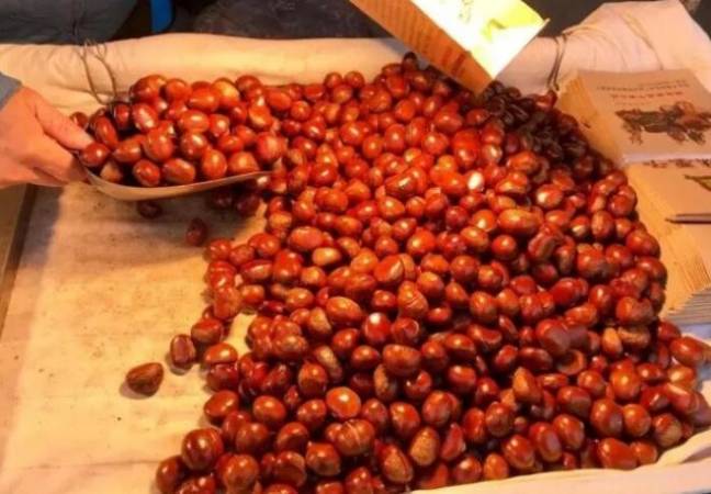 栗小胖糖炒栗子