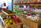 桐菓林水果店