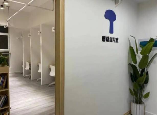 蘑菇自习室