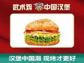 武术鸡中国汉堡