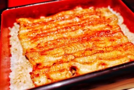 鰻小萌鰻魚飯