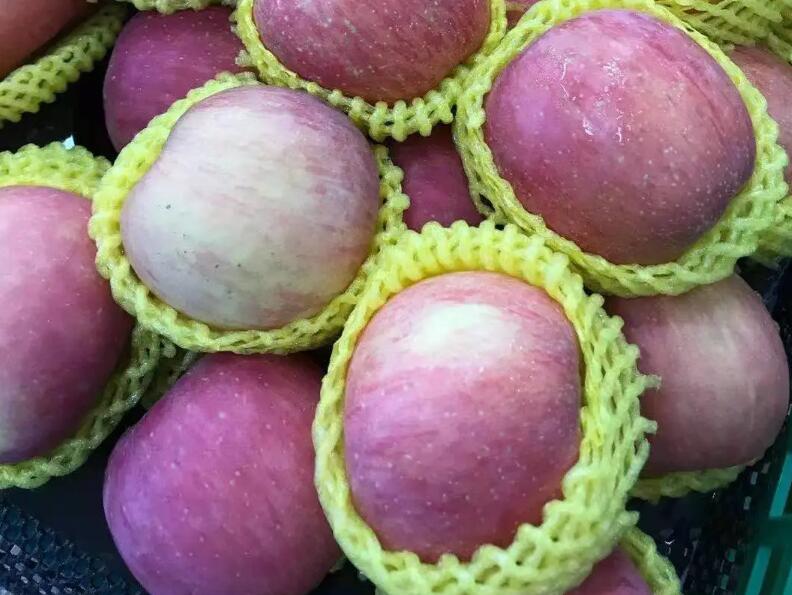 淘鲜森水果加盟