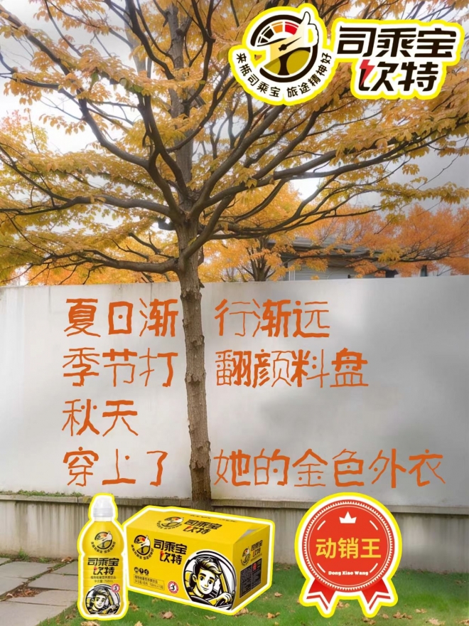 司乘宝饮特 司乘宝饮特