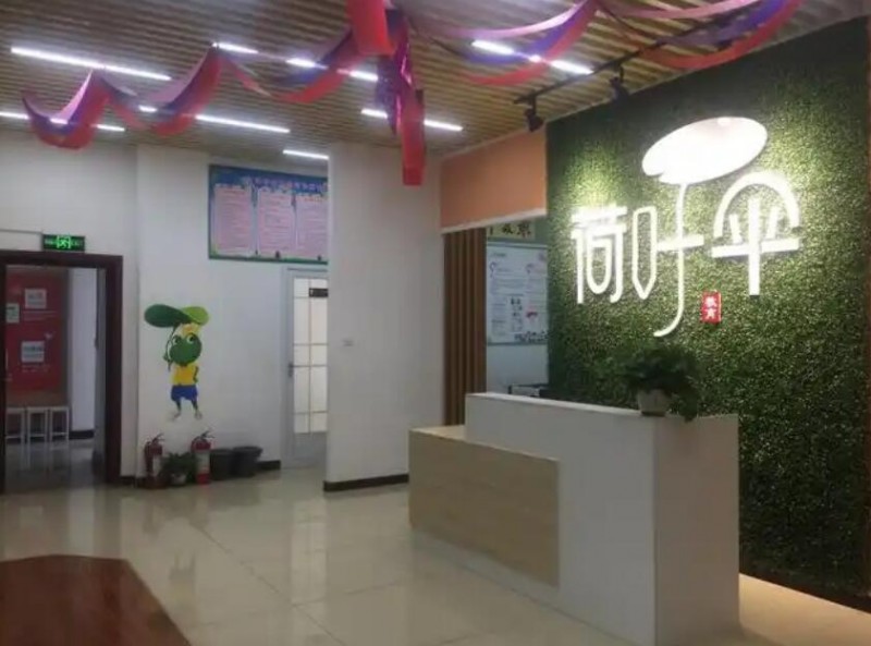 荷叶伞海量阅读