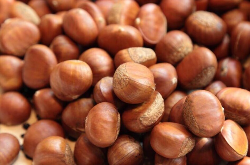 頂好樂板栗加盟