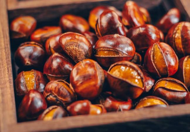 徐福泰板栗