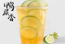 老实柠檬茶