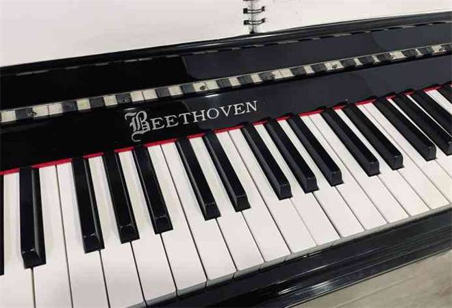 初音大师钢琴艺术馆