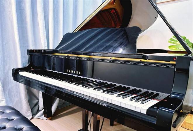 初音大师钢琴艺术馆