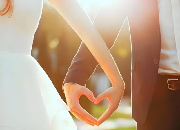 真情在线婚恋网