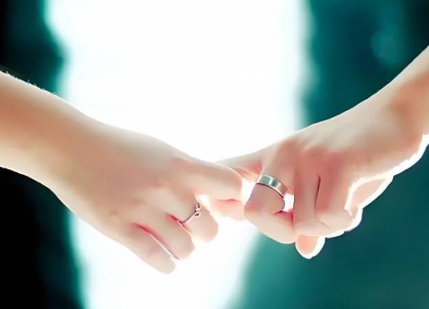 真情在线婚恋网