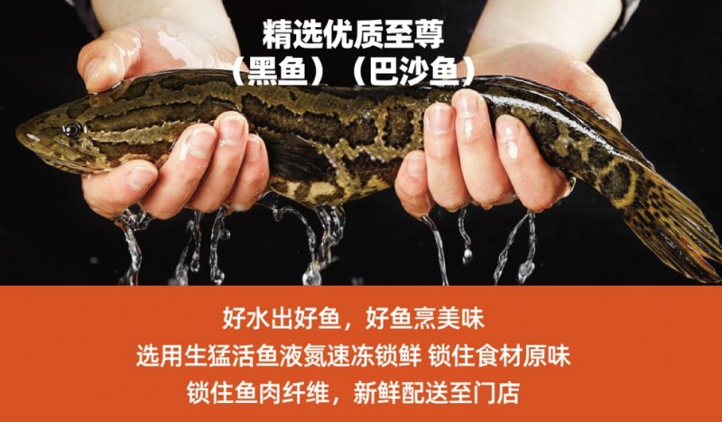 拾光魚酸菜魚加盟