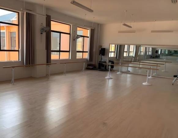 少儿舞蹈艺术培训