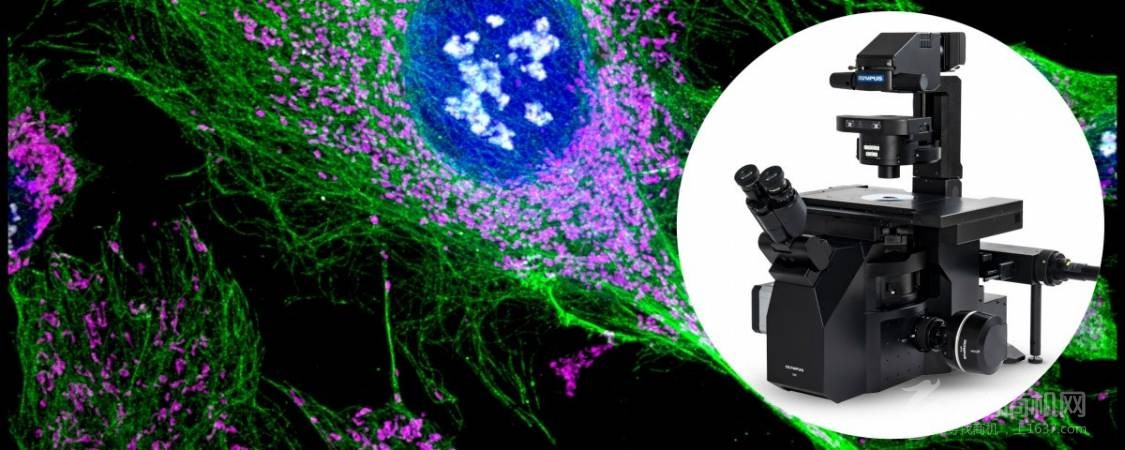 仪景通光学科技