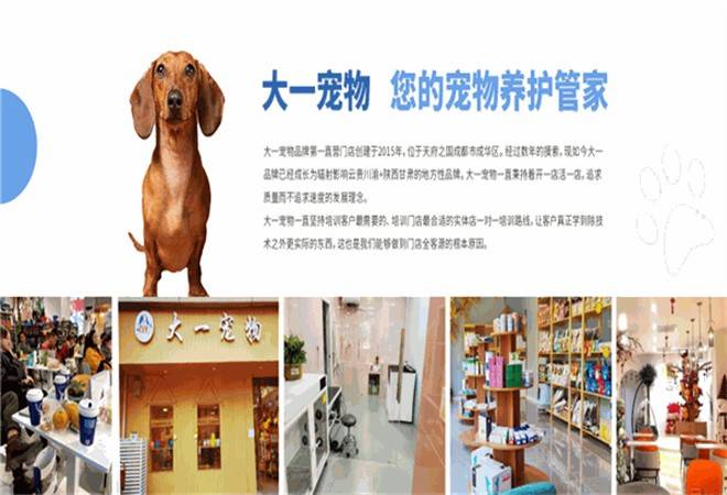 大一宠物