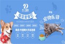 大一宠物