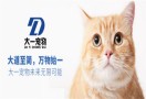 大一宠物